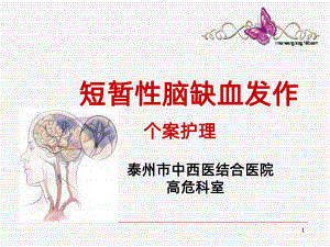 短暂性脑缺血发作个案护理课件整理.ppt