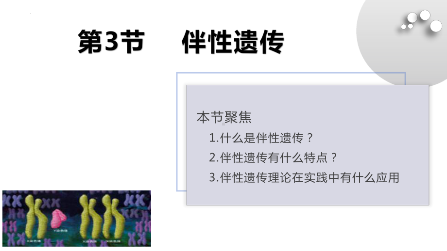 2－3伴性遗传ppt课件-2022新人教版（2019）《高中生物》必修第二册.pptx_第3页