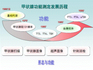 甲状腺相关激素测定的临床应用标准课件.pptx