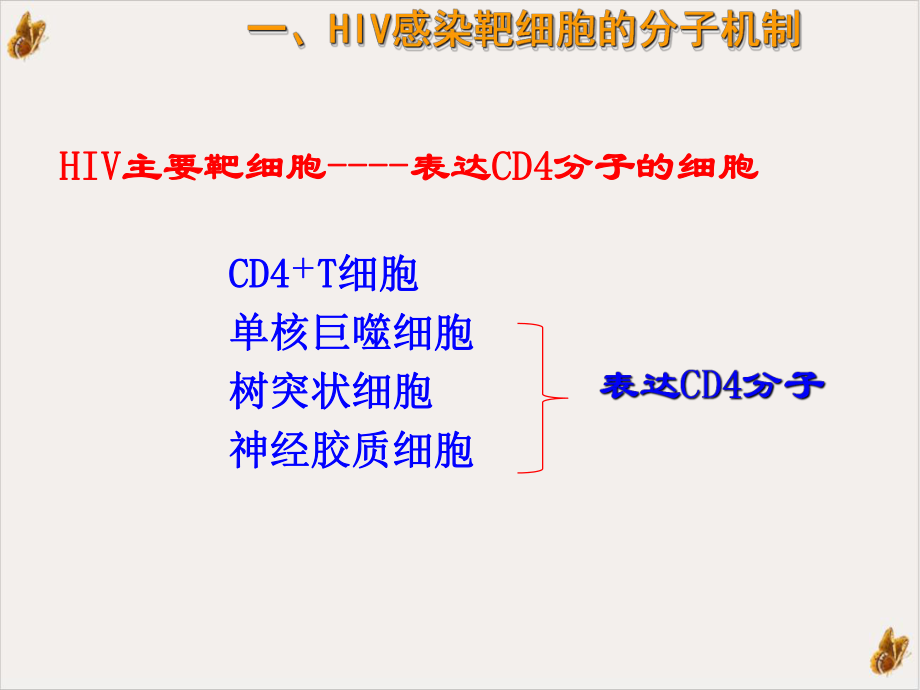 的免疫病理机制培训课件.ppt_第2页