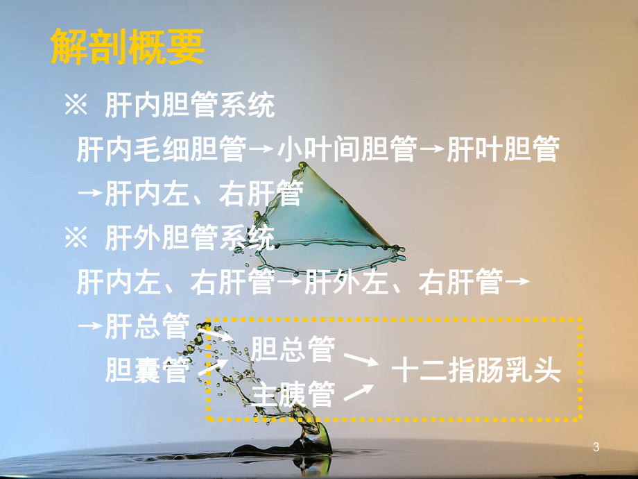 胆道系统疾病病人的成人护理学课件.ppt_第3页