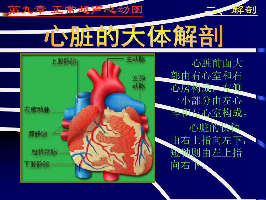 超声诊断学正常超声心动图课件.pptx_第3页