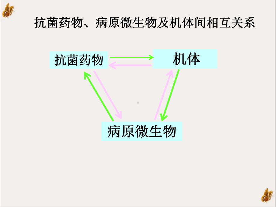 第六讲抗菌药物的临床药理学课件.ppt_第3页