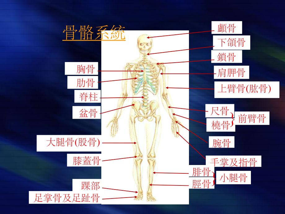 骨折的院前急救课件.ppt_第2页