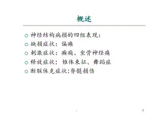 第一节中枢神经系统课件整理.ppt