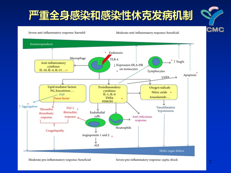 脓毒性休克早期识别和治疗课件.ppt_第2页