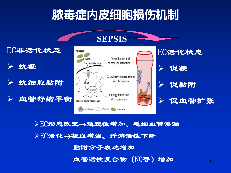 脓毒性休克早期识别和治疗课件.ppt_第3页