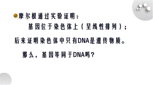 3－4基因通常是有遗传效应的DNA片段 - 副本ppt课件-2022新人教版（2019）《高中生物》必修第二册.pptx