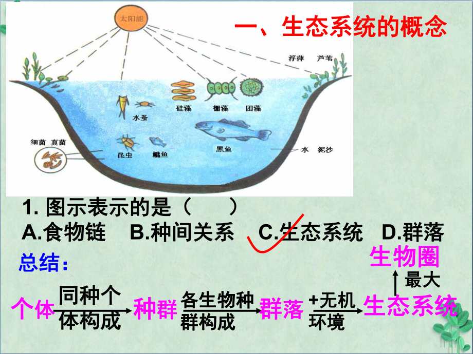 生态系统的结构课件53-人教课标版.ppt_第2页