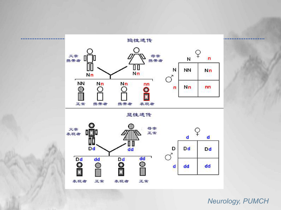 神经系统遗传病课件.pptx_第3页