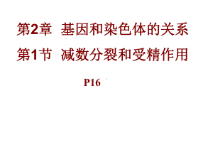 生物必修二减数分裂课件.ppt