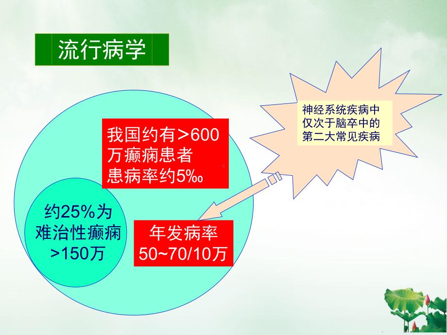 癫痫的诊断及鉴别课件.pptx_第2页