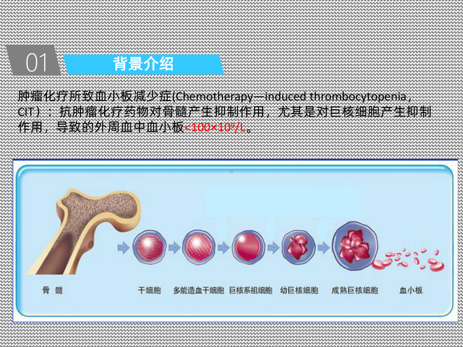 血小板减少的防治课件.ppt_第3页