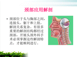 颈部肿块的临床意义课件.pptx