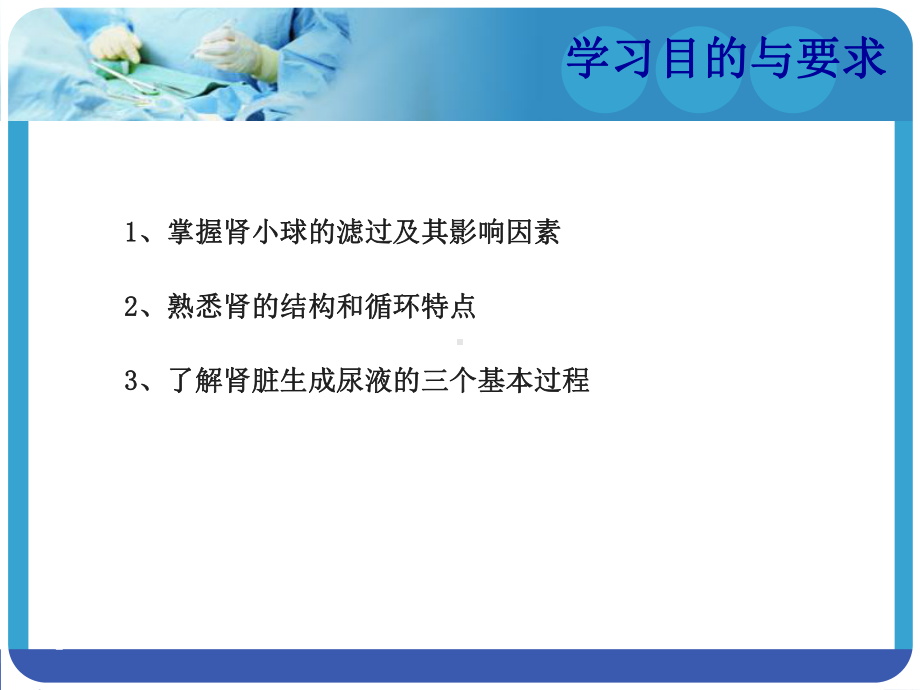 肾的排泄功能-课件.ppt_第2页