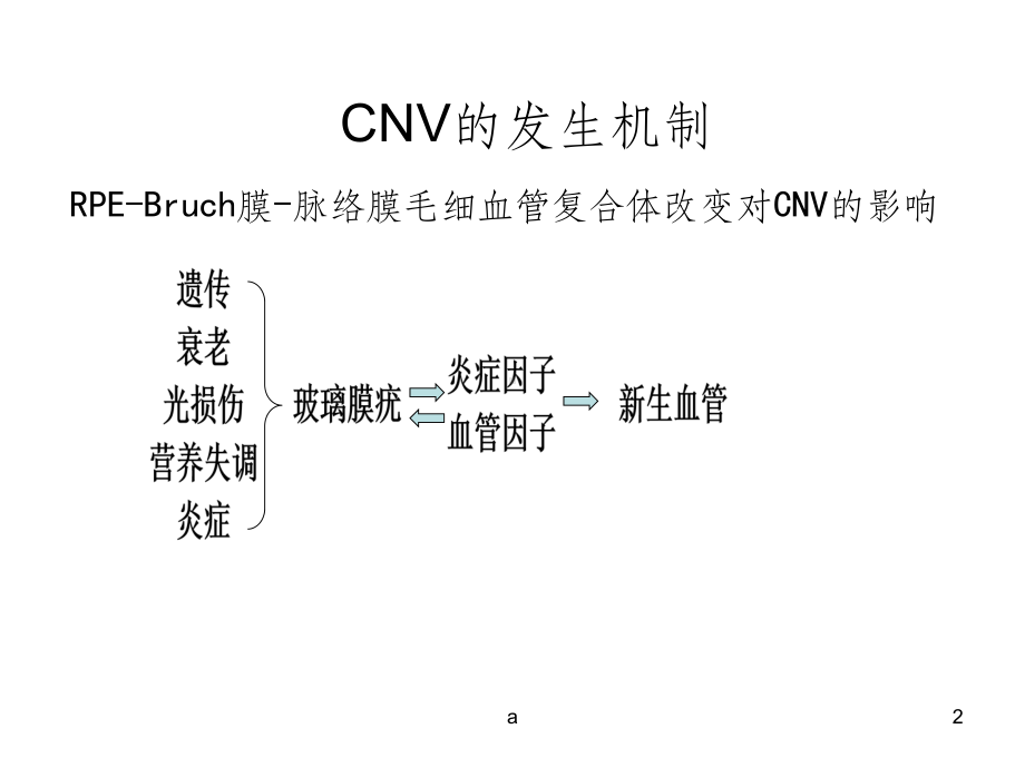 脉络膜新生血管阶段一课件.ppt_第2页