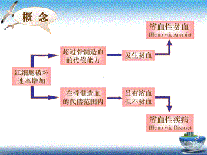 溶血性贫血护理查房课件.pptx