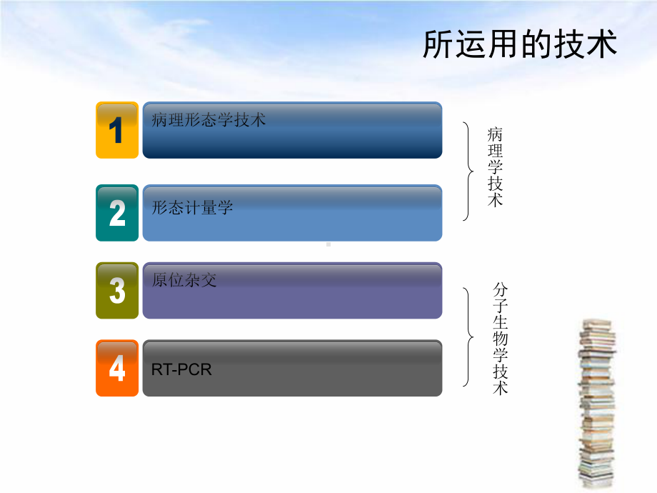 管灸治疗面神经炎的机制研究实用课件.pptx_第2页