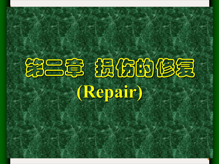 第二章损伤的修复(Repair)课件.ppt_第1页