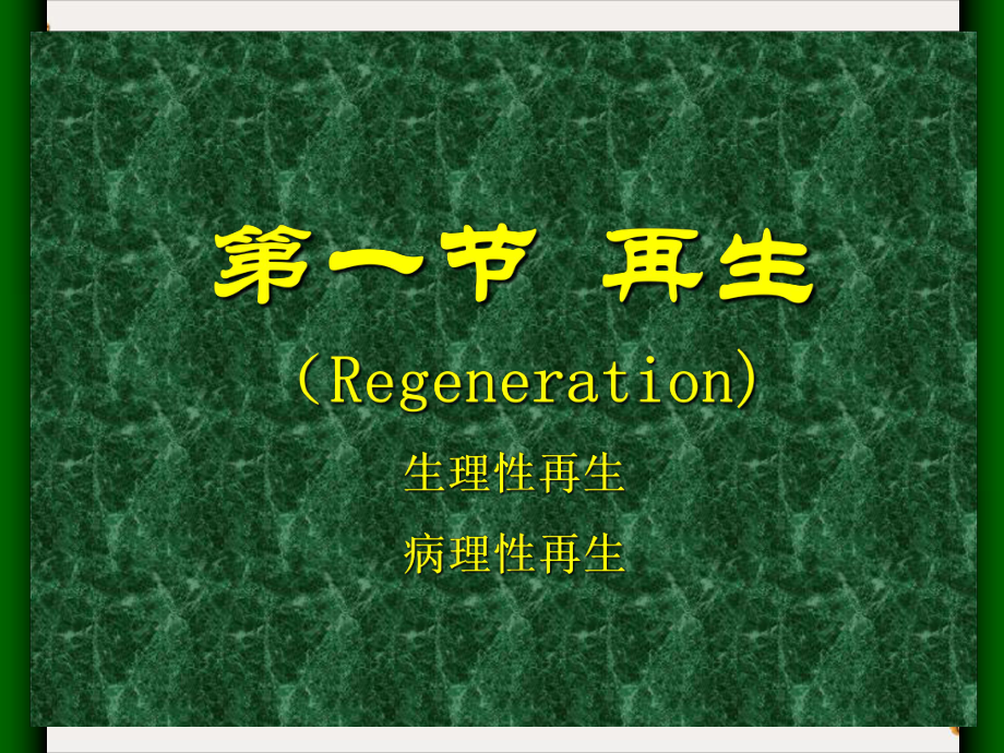 第二章损伤的修复(Repair)课件.ppt_第3页