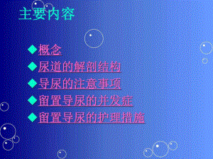 留置导尿的并发症及护理措施1课件.ppt