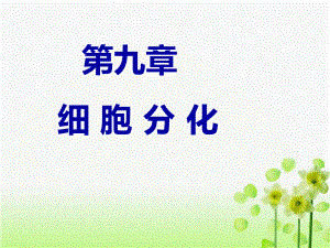 荟萃10章-医学细胞生物学-细胞分化课件.ppt