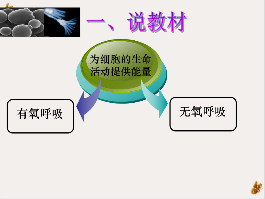 酵母菌的无氧呼吸课件.pptx_第1页