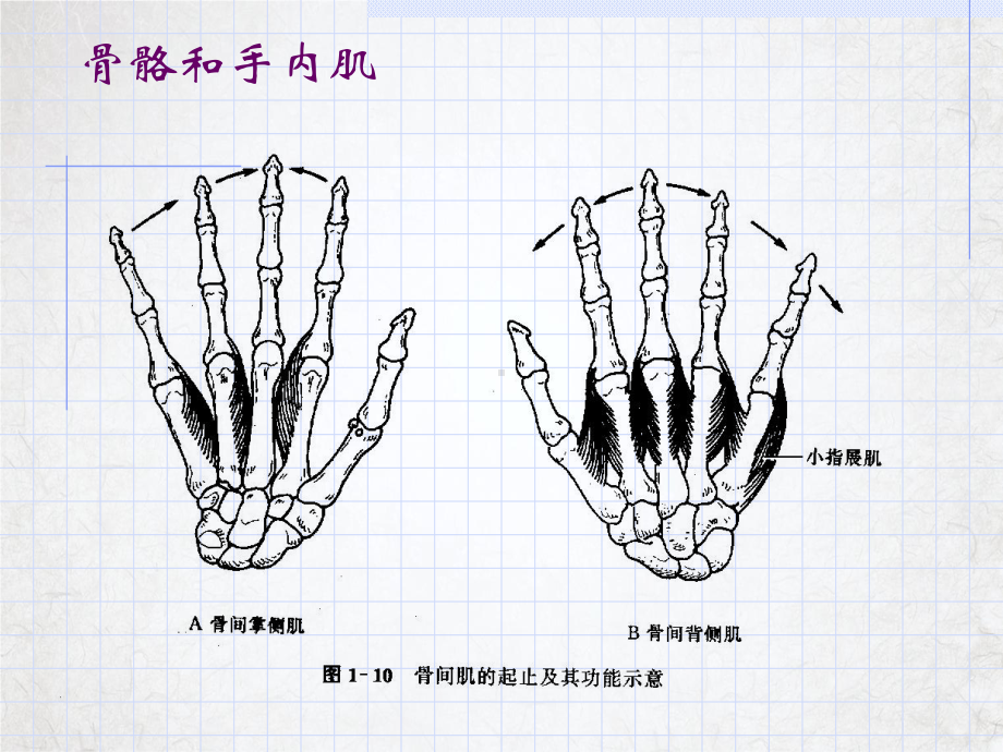 颈腰痛诊疗中心讲课课件.ppt_第3页