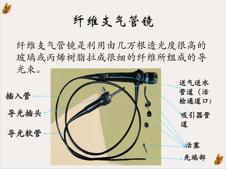 纤维支气管镜的清洗消毒与维护程序课件实用版.ppt_第2页