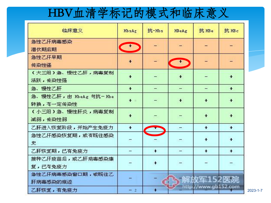 肝炎患者饮食指导课件整理.ppt_第2页