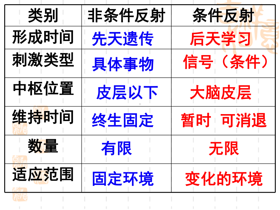 神经系统的结构和功能第三课时课件.ppt_第3页