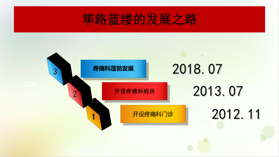 疼痛科上半年总结实用版课件.ppt_第2页