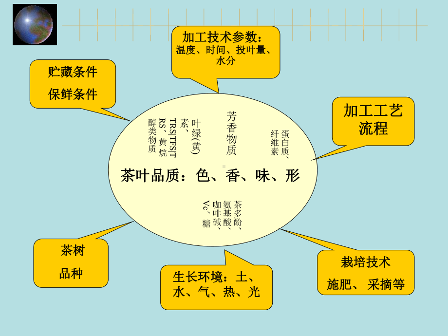 茶叶品质构成及其影响因素培训课件.ppt_第2页