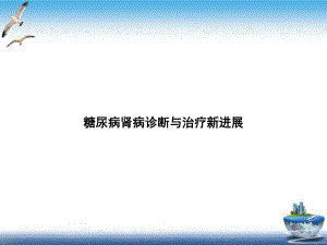 糖尿病肾病诊断与治疗进展培训课程课件.ppt