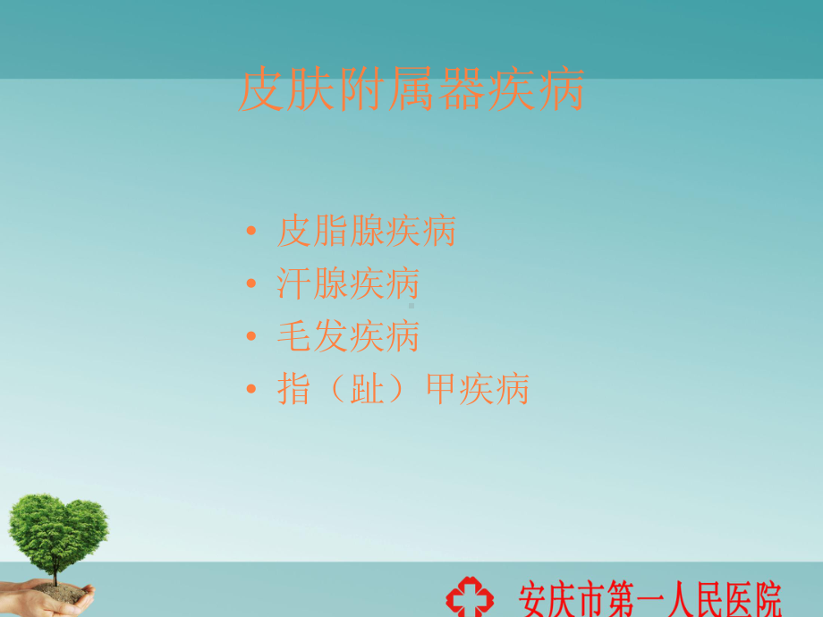 皮肤附属器疾病课件(同名50).ppt_第2页