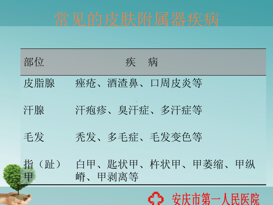 皮肤附属器疾病课件(同名50).ppt_第3页