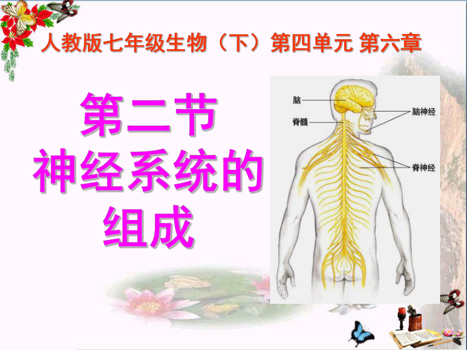 神经系统的组成-人体生命活动的调节优秀课件2.ppt_第1页