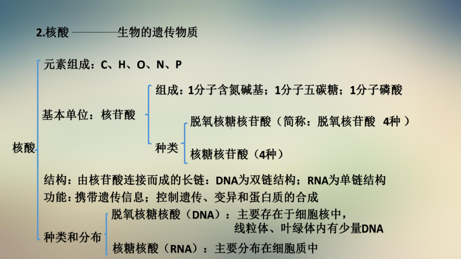 高中生物会考专题复习细胞的分子组成19课件.pptx_第3页