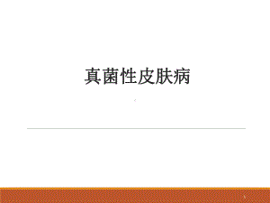 皮肤病学真菌感染性疾病课件.ppt