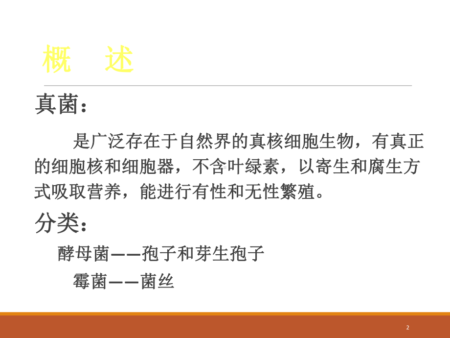 皮肤病学真菌感染性疾病课件.ppt_第2页