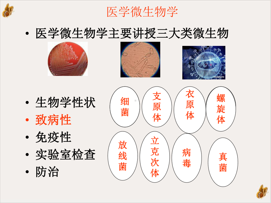 病原生物学及免疫学整体课程设计教学课件.pptx_第2页