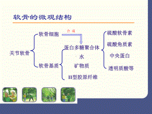 骨性关节炎治疗进展硫酸氨基葡萄糖阻断骨性关节炎病理进程教材课件.pptx