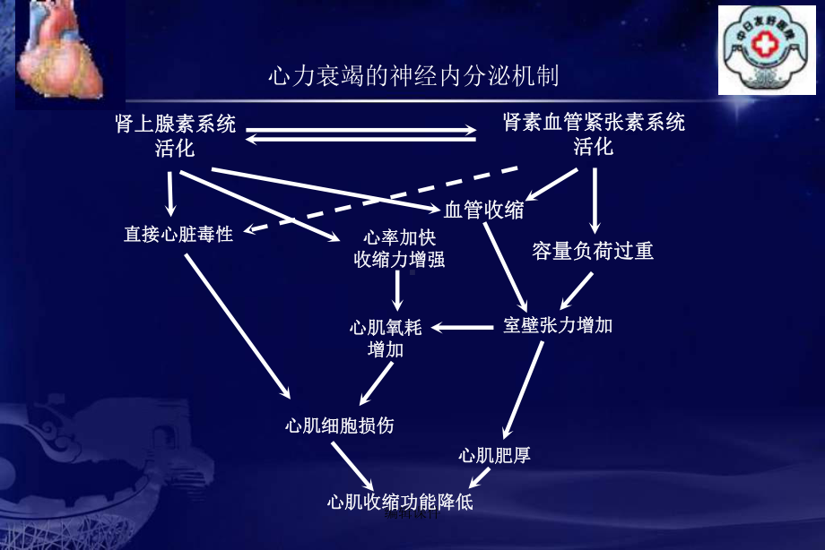 醛固酮拮抗剂在慢性心力衰竭中的应用课件.ppt_第2页