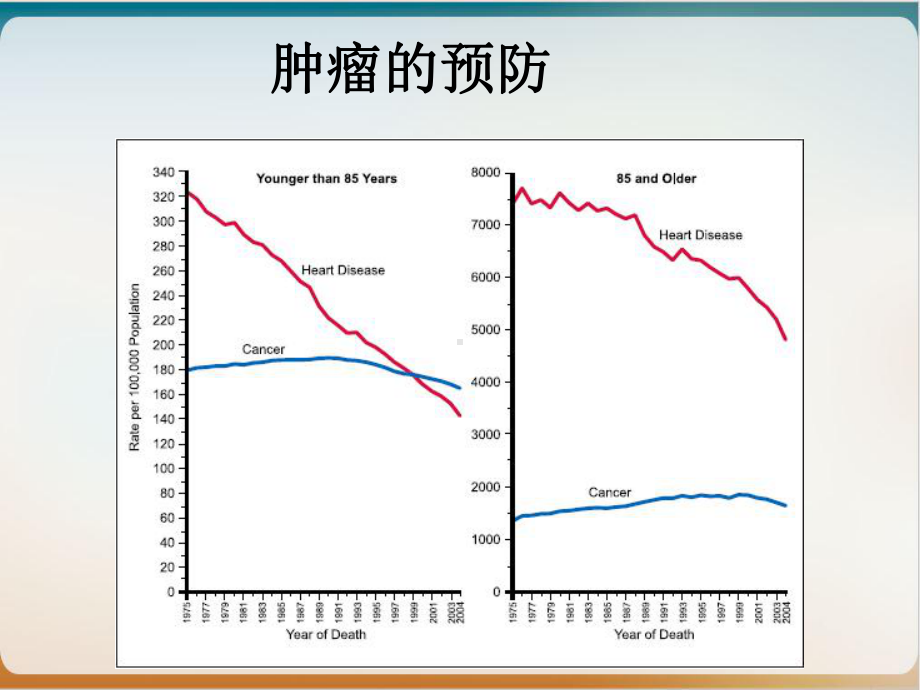 肿瘤的预防和早期诊断实用版课件.ppt_第3页