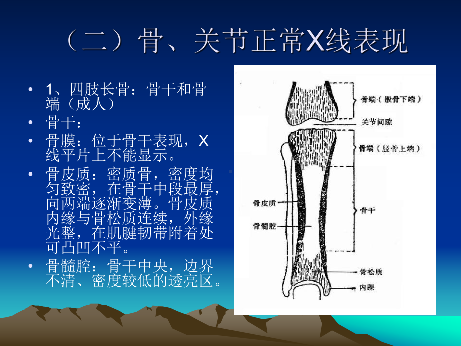 骨关节系统教学课件.pptx_第2页