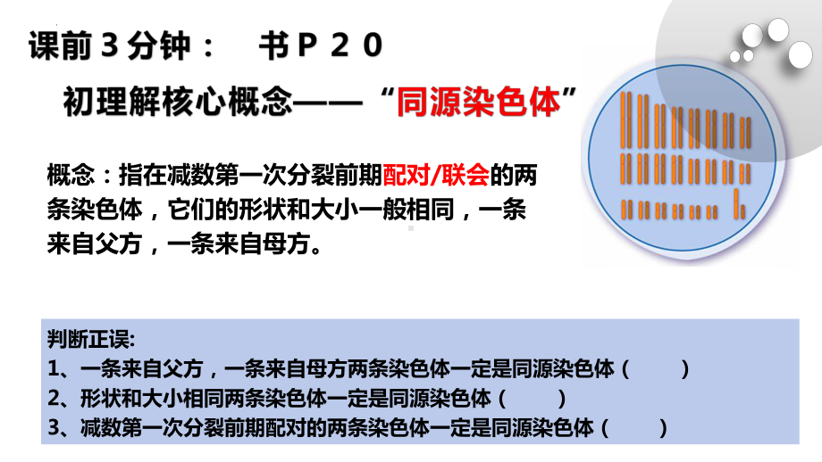 2－1减数分裂与受精作用ppt课件-2022新人教版（2019）《高中生物》必修第二册.pptx_第1页