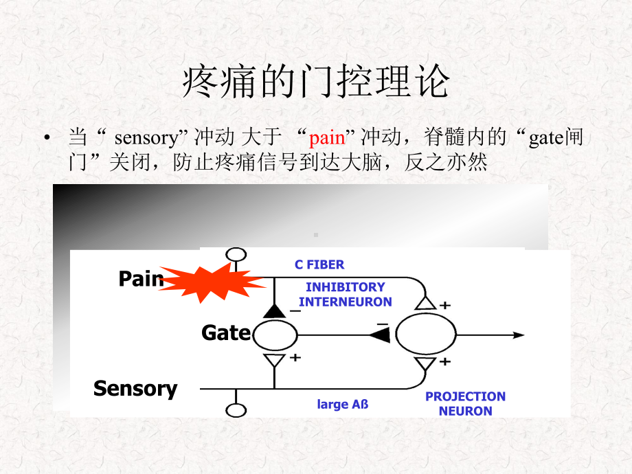 疼痛科的神经节阻滞技术课件.ppt_第3页