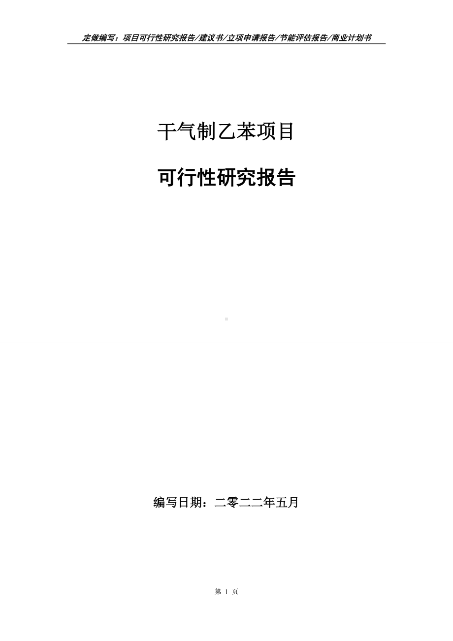 干气制乙苯项目可行性报告（写作模板）.doc_第1页