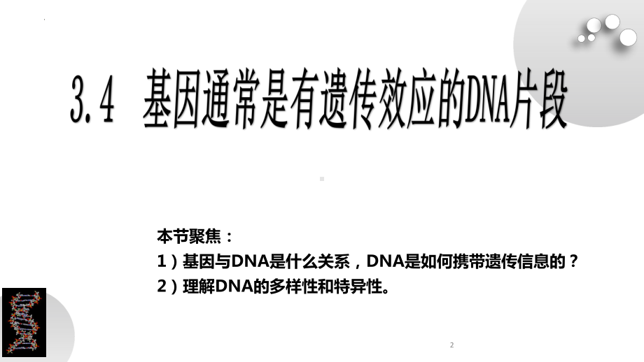 3－4基因通常是有遗传效应的DNA片段ppt课件-2022新人教版（2019）《高中生物》必修第二册.pptx_第2页