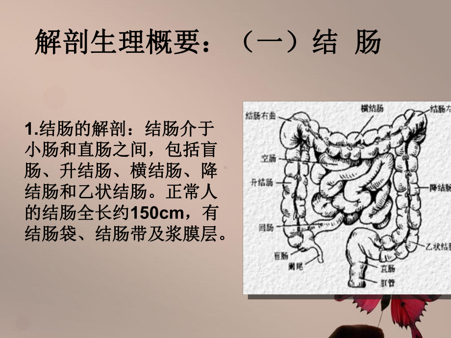 结直肠疾病病人的护理课件(模板).pptx_第2页